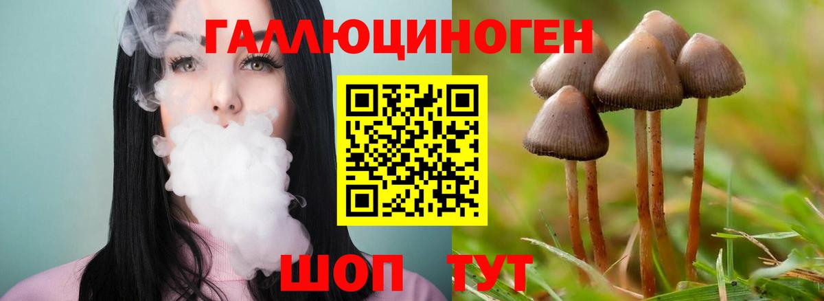 Псилоцибиновые грибы Magic Shrooms  Псилоцибиновые грибы прущие грибы  Воскресенск  Вход с VPN 